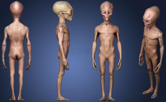 Grey Alien8